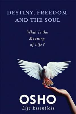 Cover of Destiny, Freedom, and the Soul