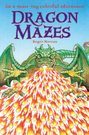 Cover of Dragon Mazes