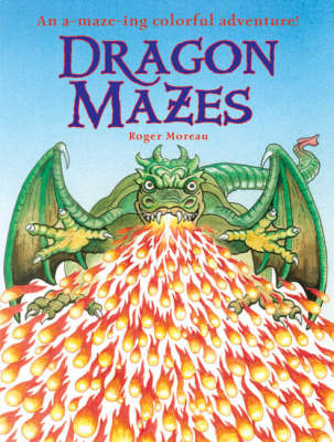 Book cover for Dragon Mazes