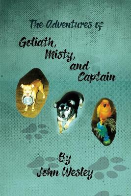Book cover for The Adventures of Goliath, Misty, and Captain