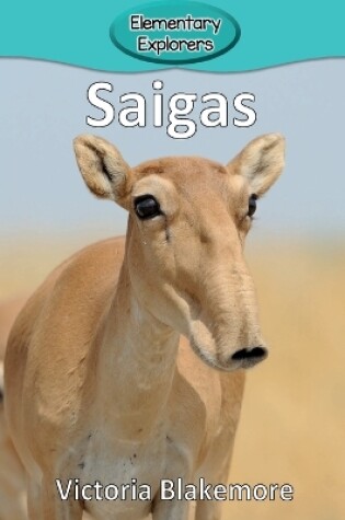 Cover of Saigas