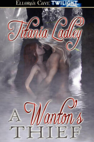 Cover of A Wanton's Thief