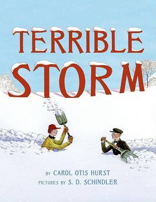 Book cover for Terrible Storm