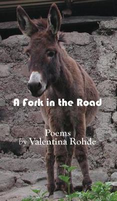 Book cover for A Fork in the Road