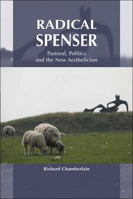 Book cover for Radical Spenser