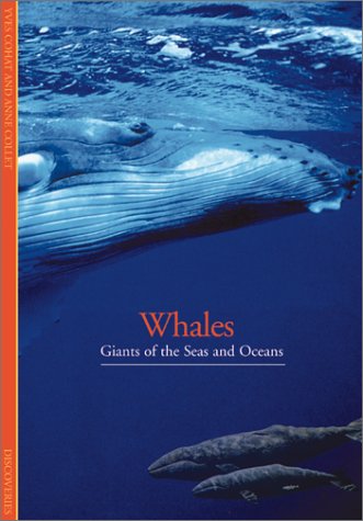 Book cover for Whales