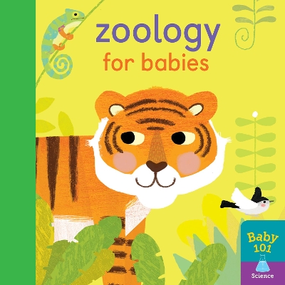 Book cover for Zoology for Babies