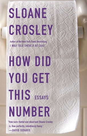 Book cover for How Did You Get This Number