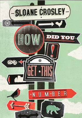 Book cover for How Did You Get This Number