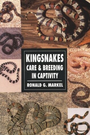 Cover of Kingsnakes Care and Breeding in Captivity