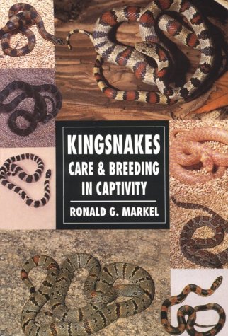 Book cover for Kingsnakes Care and Breeding in Captivity