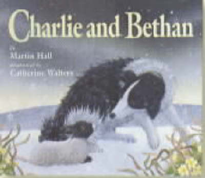 Book cover for Charlie and Bethan