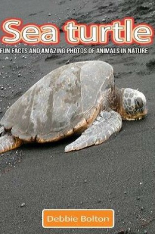 Cover of Sea Turtle