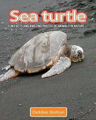 Book cover for Sea Turtle