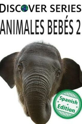 Cover of Animales Bebes 2