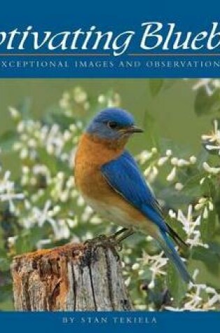 Cover of Captivating Bluebirds