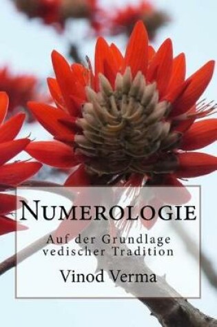 Cover of Numerologie