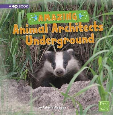 Book cover for Amazing Animal Architects Underground: a 4D Book (Amazing Animal Architects)