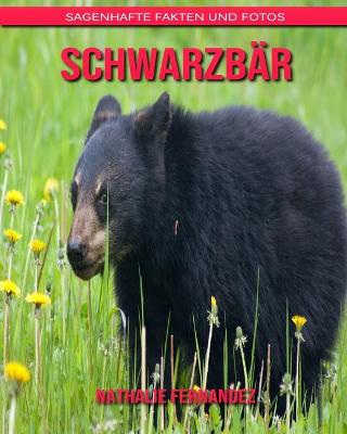 Book cover for Schwarzbär