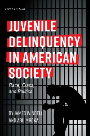 Cover of Juvenile Delinquency in American Society