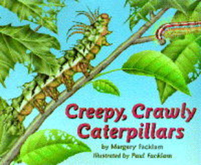 Book cover for Creepy Crawly Caterpillar