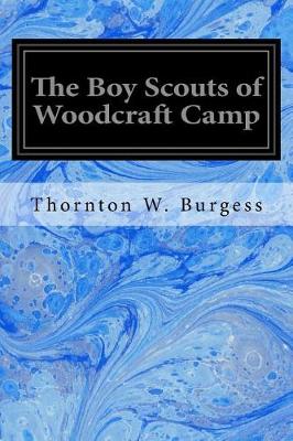 Book cover for The Boy Scouts of Woodcraft Camp
