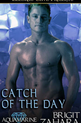 Cover of Catch of the Day