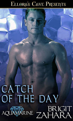 Book cover for Catch of the Day