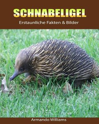 Book cover for Schnabeligel