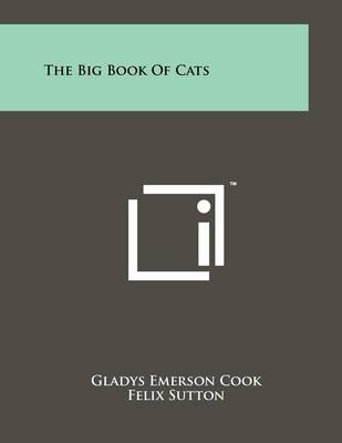 Book cover for The Big Book Of Cats