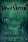 Book cover for The Bewilderment