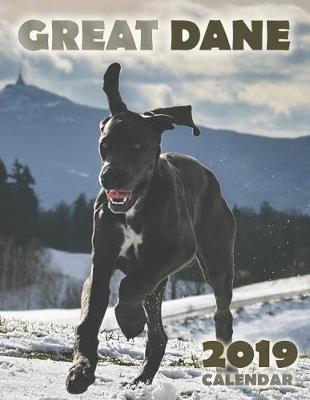 Book cover for Great Dane 2019 Calendar