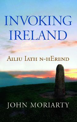 Book cover for Invoking Ireland