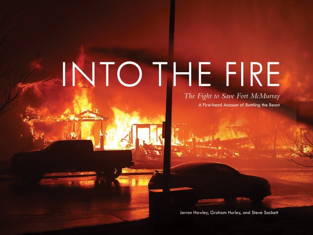 Book cover for Into the Fire