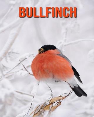 Book cover for Bullfinch