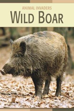 Cover of Wild Boar