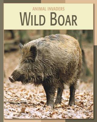 Book cover for Wild Boar