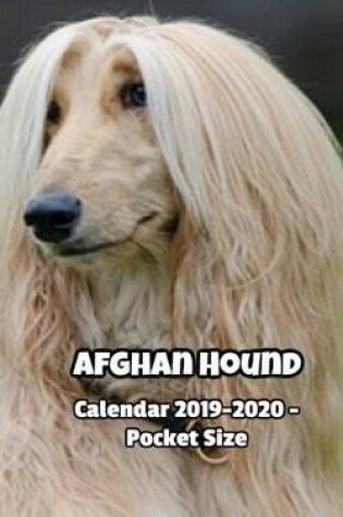 Cover of Afghan Hound Calendar 2019-2020 - Pocket Size