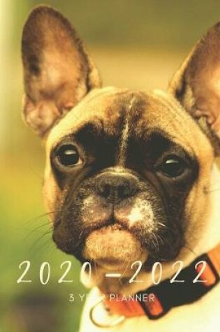 Cover of 2020-2022 3 Year Planner French Bulldog Monthly Calendar Goals Agenda Schedule Organizer