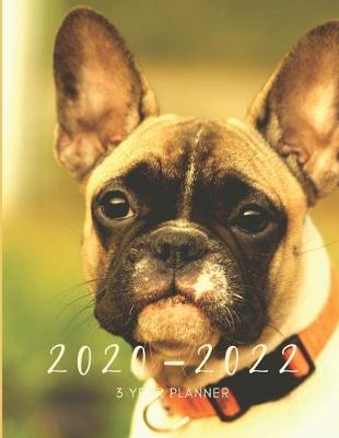 Book cover for 2020-2022 3 Year Planner French Bulldog Monthly Calendar Goals Agenda Schedule Organizer