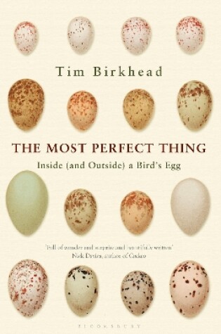 Cover of The Most Perfect Thing