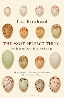 Book cover for The Most Perfect Thing