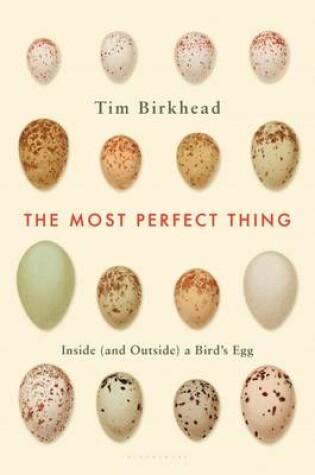 Cover of The Most Perfect Thing