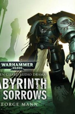 Cover of Labyrinth of Sarrows