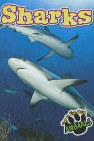 Cover of Sharks