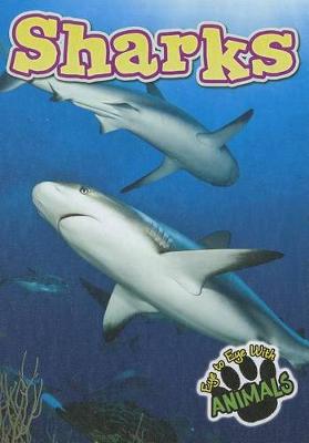 Book cover for Sharks