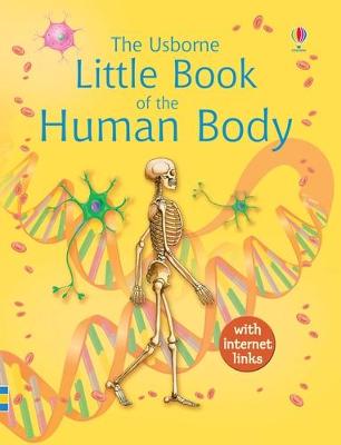 Book cover for Little Book of the Human Body