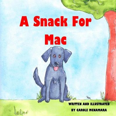 Book cover for A Snack For Mac