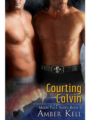 Book cover for Courting Calvin