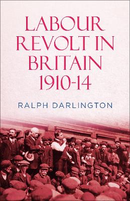 Book cover for Labour Revolt in Britain 1910-14